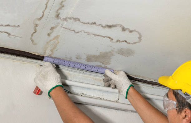 Affordable Structural Drying solutions in Fountain, MI